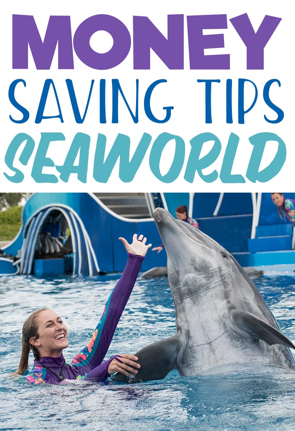 Money Saving Tips for SeaWorld - Tips for a fun family vacation in San Diego