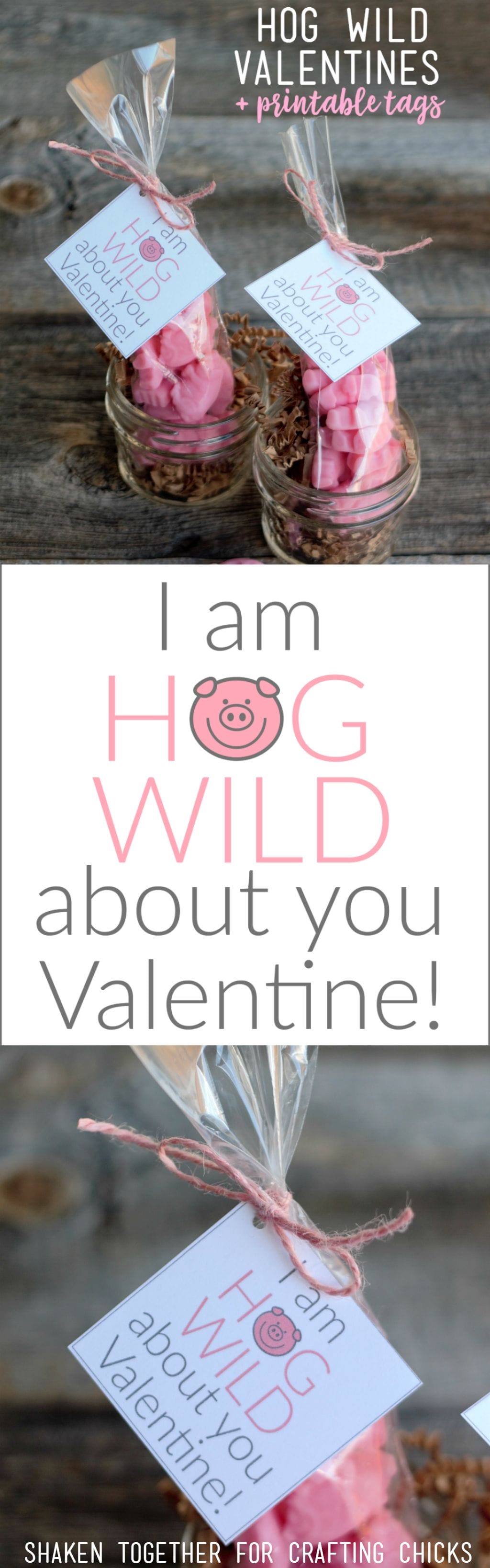 Gummy pigs + printable tags make the cutest I Am Hog Wild About You Valentines! These easy, affordable Valentines are fun for classmates, friends & family!