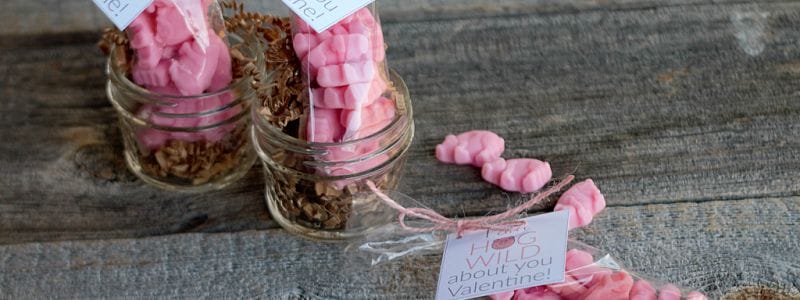 I'm Hog Wild About You Valentines - gummy pigs + printable tags = the cutest little Valentine gifts ever!