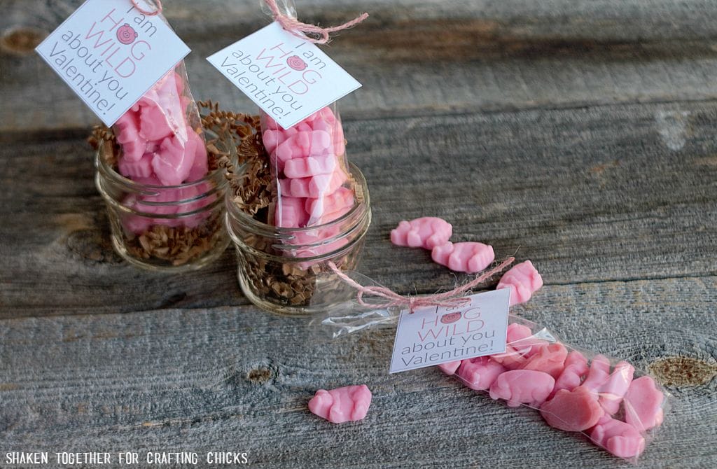 Gummy pigs + printable tags make the cutest I Am Hog Wild About You Valentines! These easy, affordable Valentines are fun for classmates, friends & family!