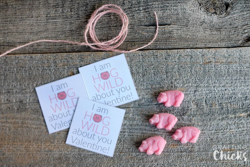 Make these I Am Hog Wild About You Valentines with just a few simple supplies!