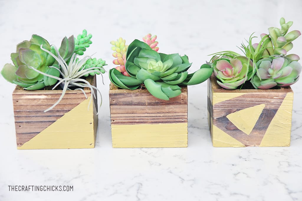 DIY Rustic Gold Succulent Planters - Add a touch of modern decor to your home!