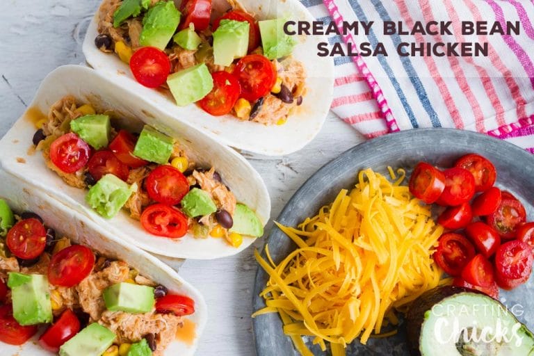 Creamy Black Bean Salsa Chicken Recipe