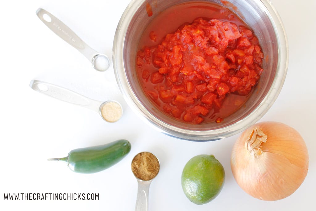 Easiest Blender Salsa Recipe ingredients