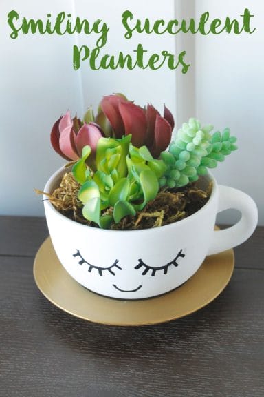 Top Picks for Succulent Planter Ideas - The Crafting Chicks