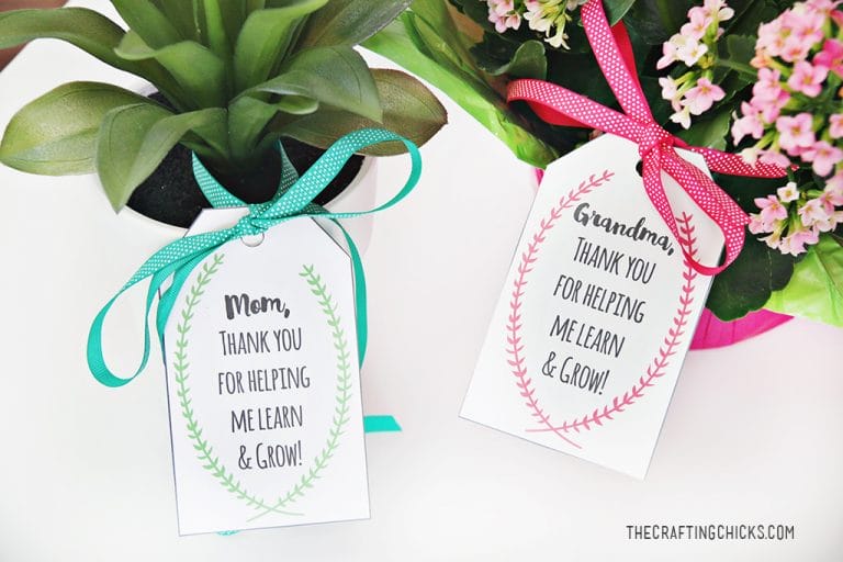 Mother’s Day Plant Printable Gift Tags