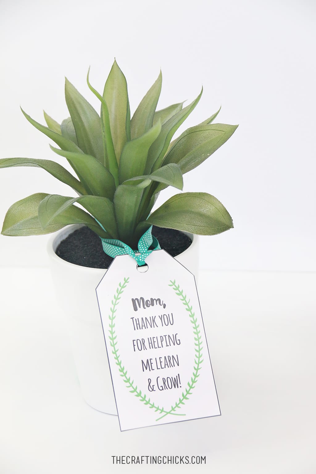 Mother's Day Plant Printable Gift Tags