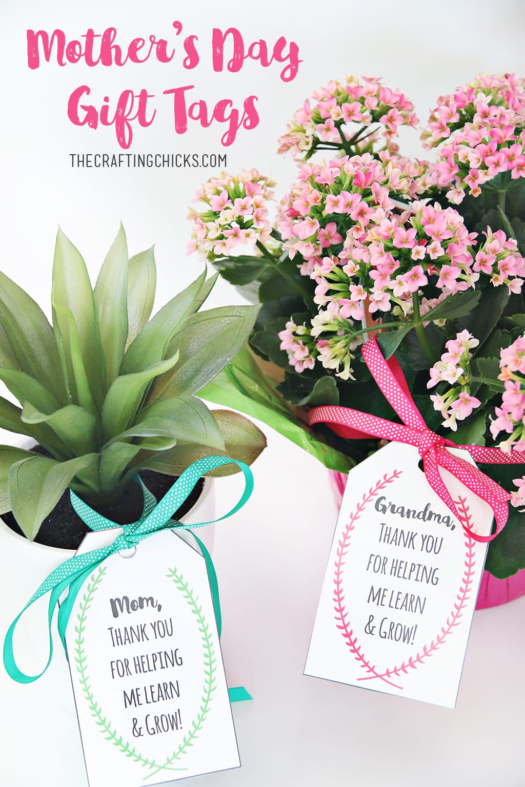 Mother's Day Plant Printable Gift Tags - Mother’s and Grandmother’s will love pretty flowers or plants with a gift tag that ties it all together.