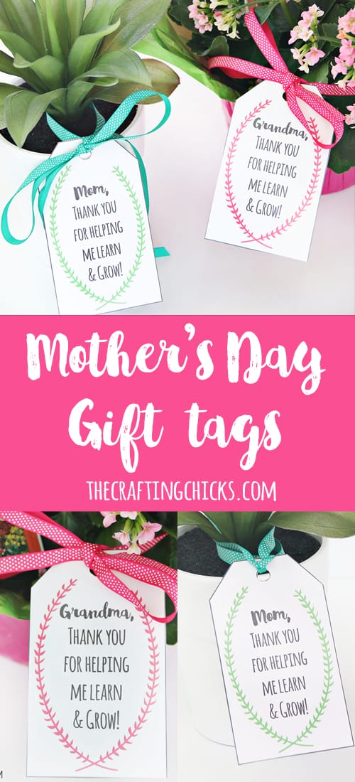 Mother's Day Plant Printable Gift Tags - Mother’s and Grandmother’s will love pretty flowers or plants with a gift tag that ties it all together.