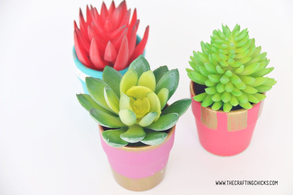 DIY Mini Painted Succulent Pots