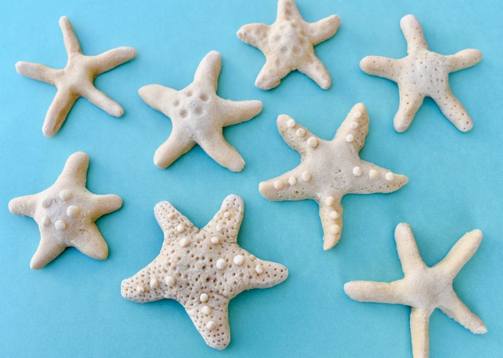 salt dough starfish