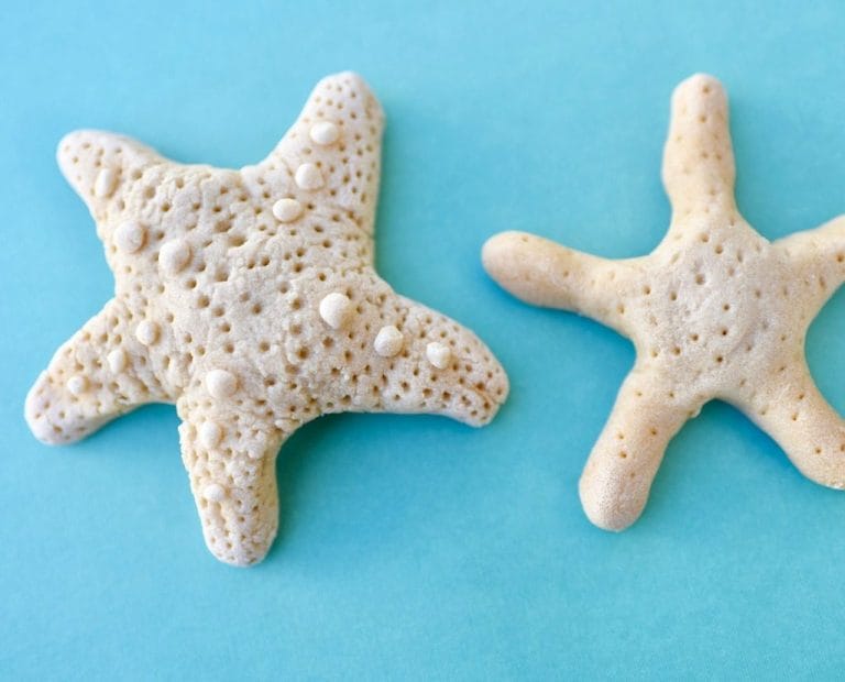 Salt Dough Starfish Kids Craft