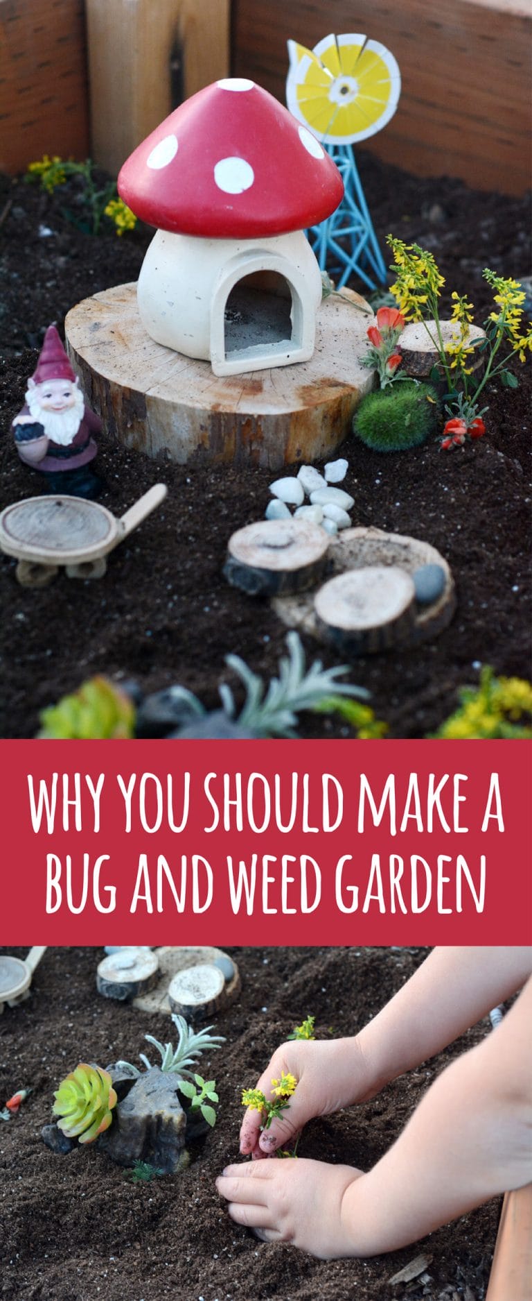 DIY Bug Garden