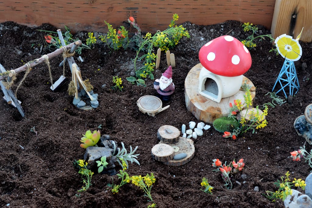 DIY Bug Garden | Kids Crafts and Activities