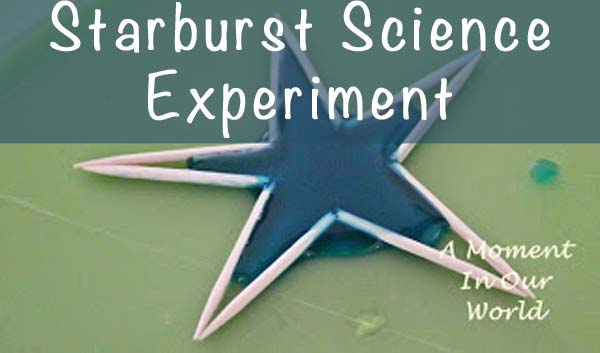 Science Experiments and Activities | Simple and fun science activities for kids.  Learning can be fun with these easy science projects.