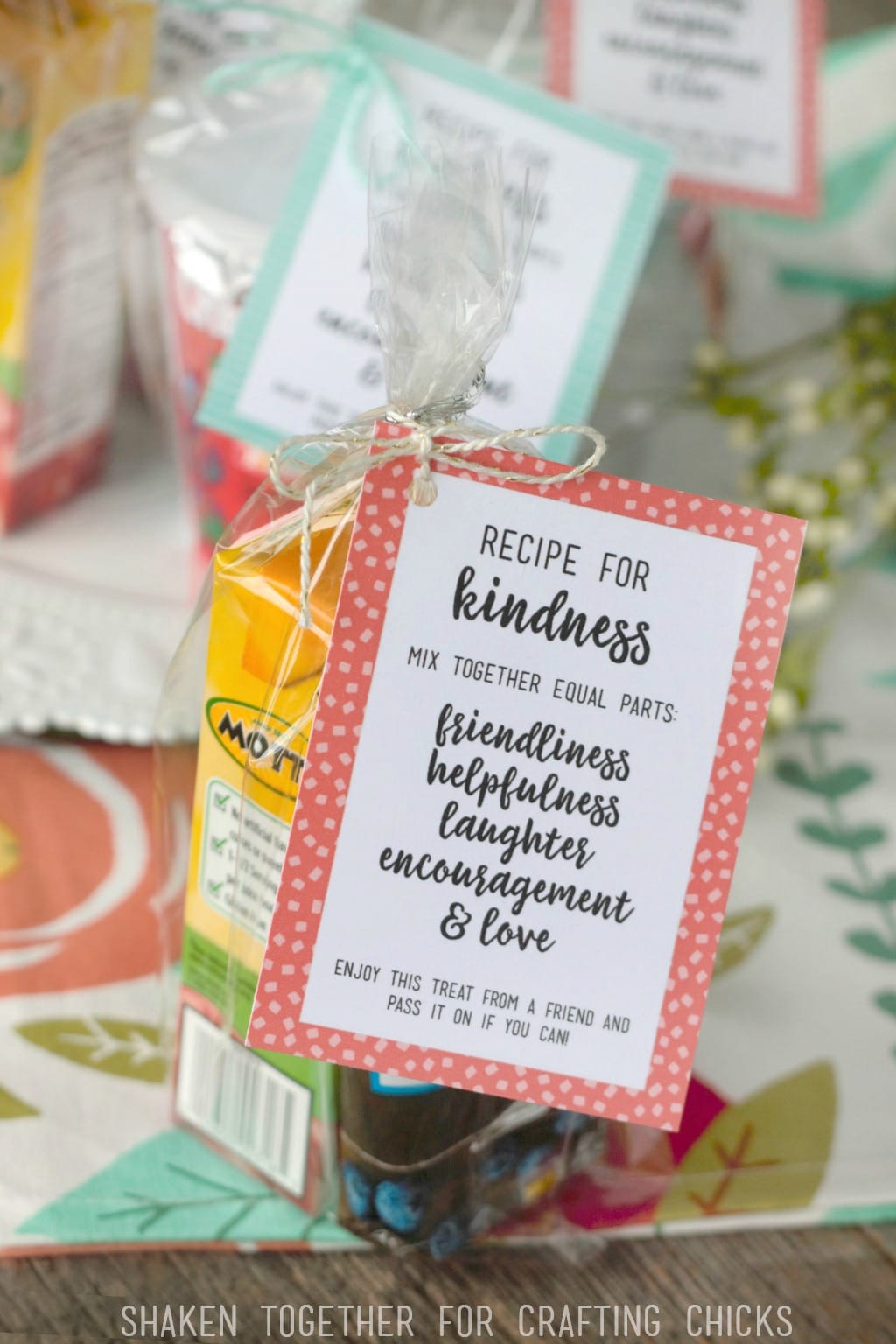Encourage generosity and kindness in children with these Recipe for Kindness Random Acts of Kindness Treat Bags! Tons of ideas for bag fillers and printable tags, too!