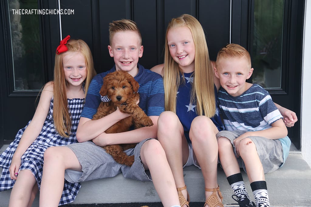 Four kids sitting on a porch with a new puppy