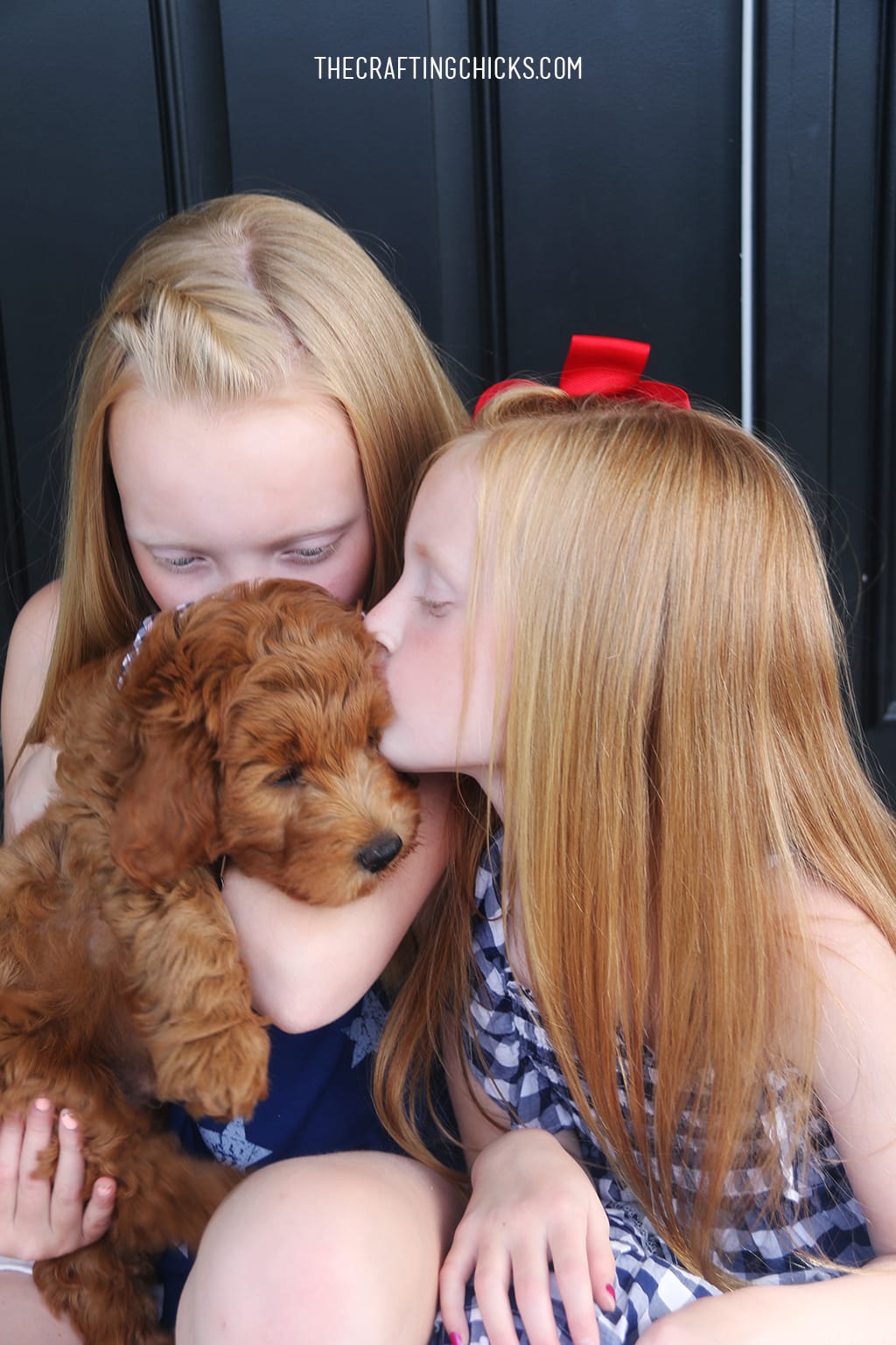 Two little girls snuggling a new puppy.