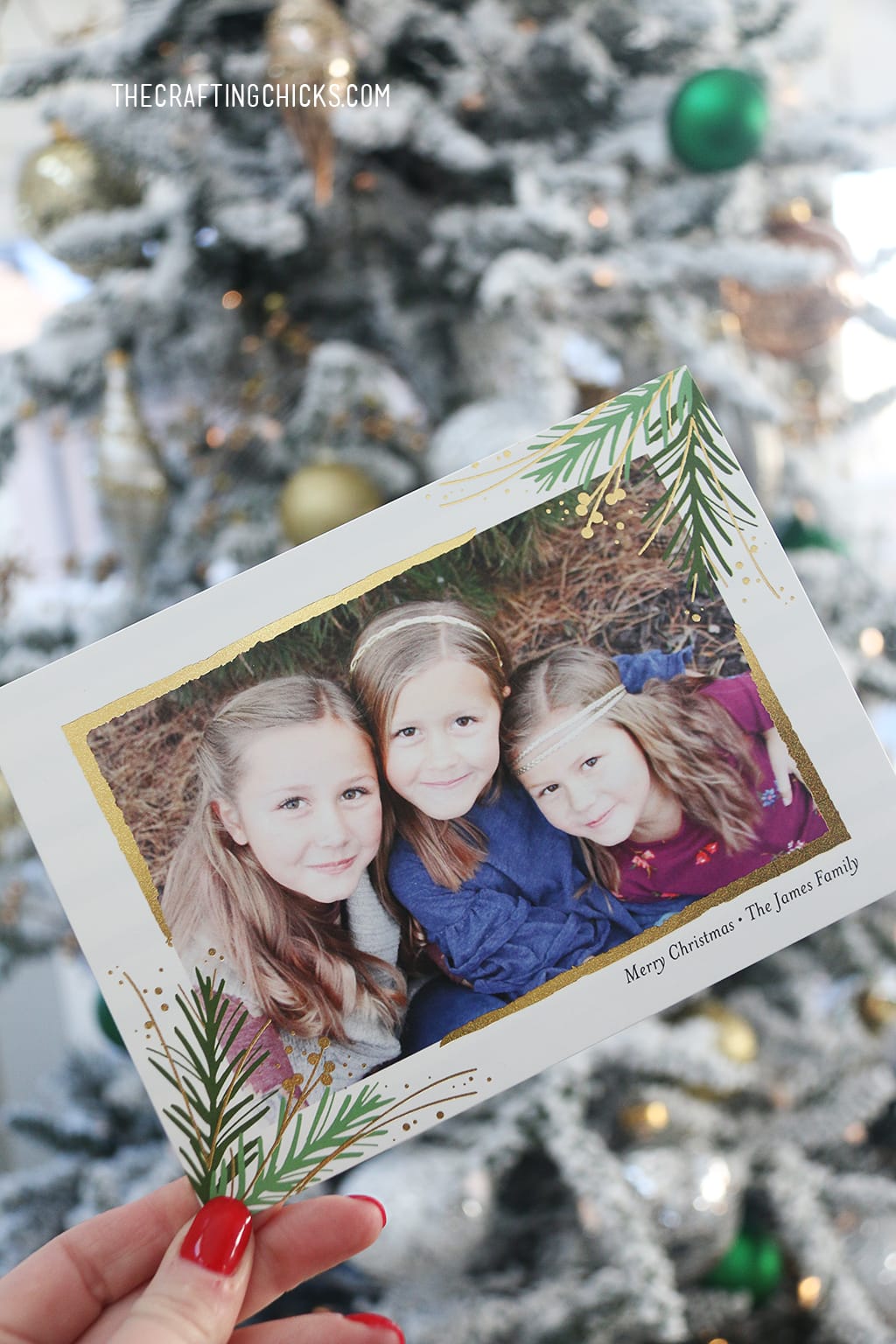 Holiday Photo Cards 2017! Each card was hand picked and made especially for each family. They are custom Christmas cards with foil printing. We think you'll love them as much as we do.