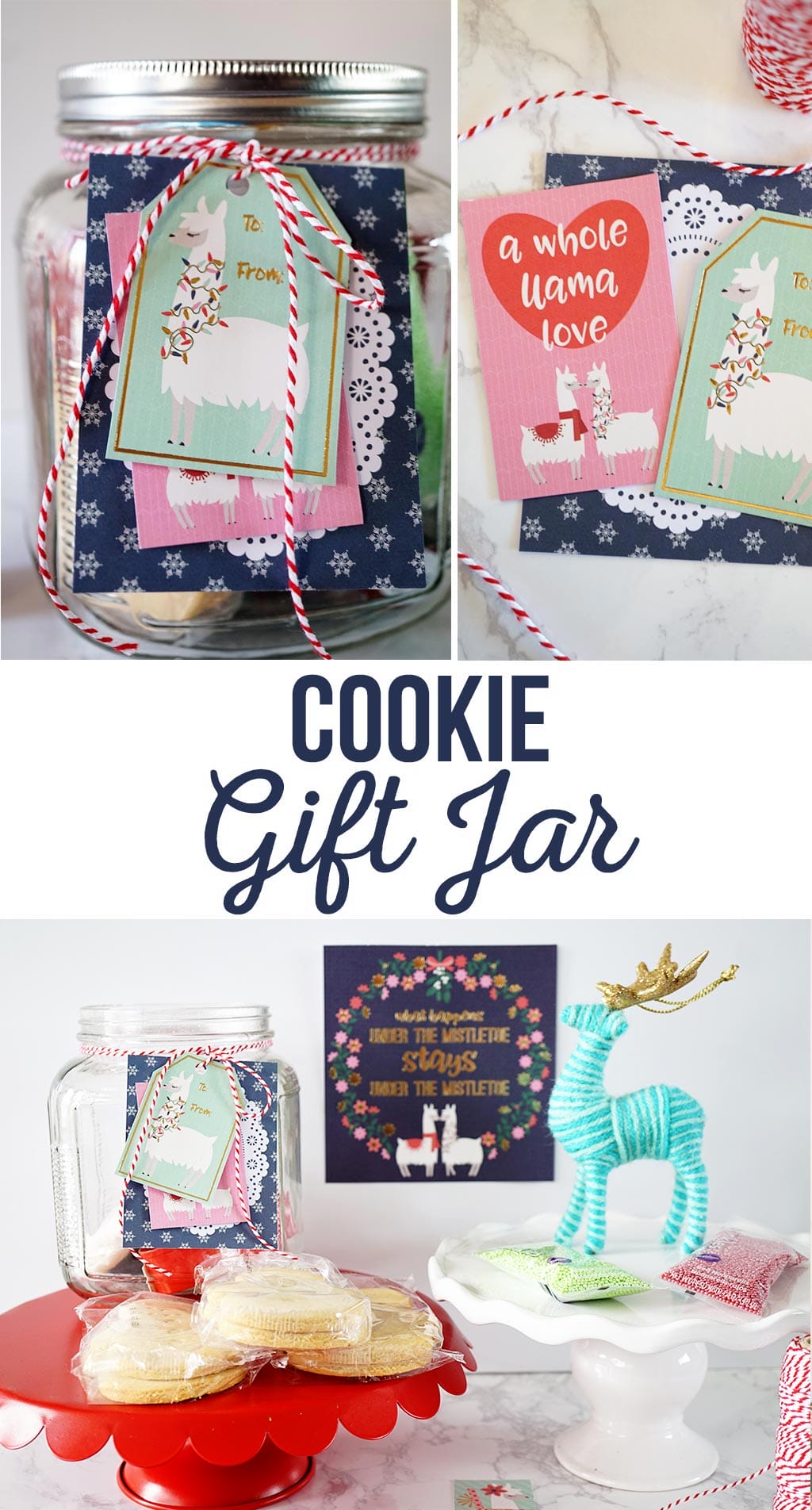 Cookie Gift Jar Idea