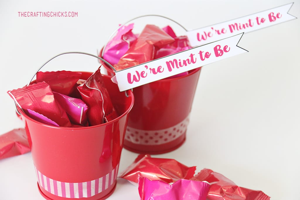 We we're MINT to be Valentine idea. Perfect for fiends and neighbors.