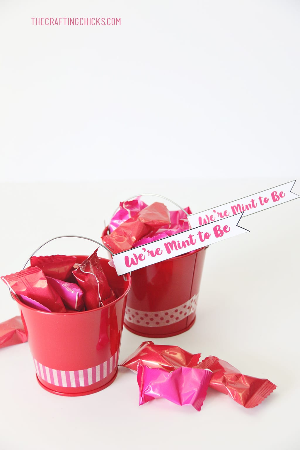 We're Mint to Be Printable Valentines are the perfect Valentine gift idea for friends and neighbors. These adorable buckets filled with mints or gum will be a hit with young and young at heart.