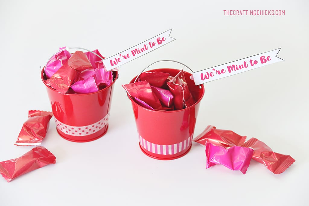 We're Mint to be Valentine Gift idea