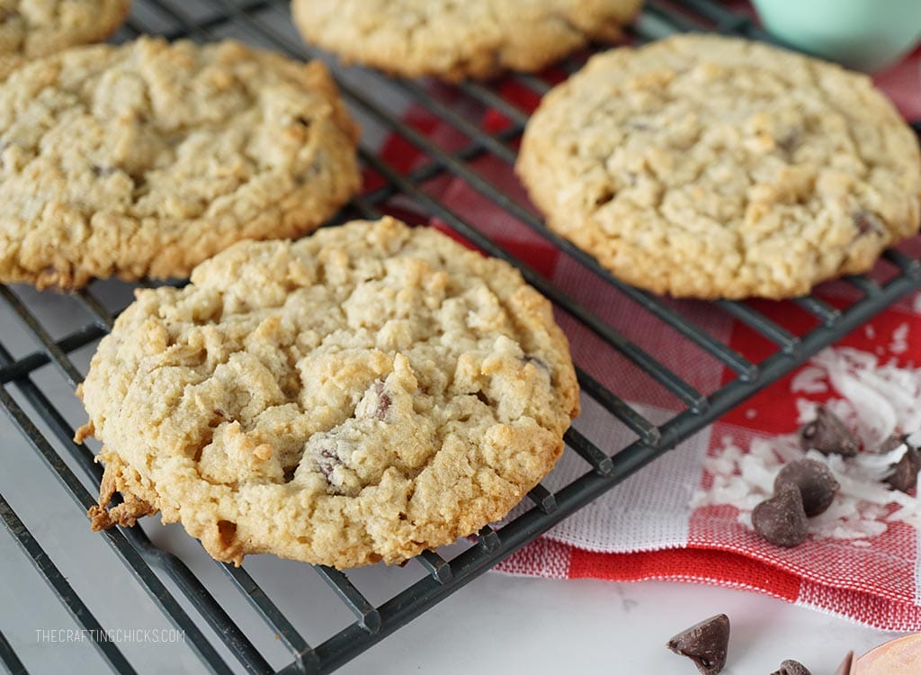 Oatmeal Coconut Chocolate Chip Cookie Recipe