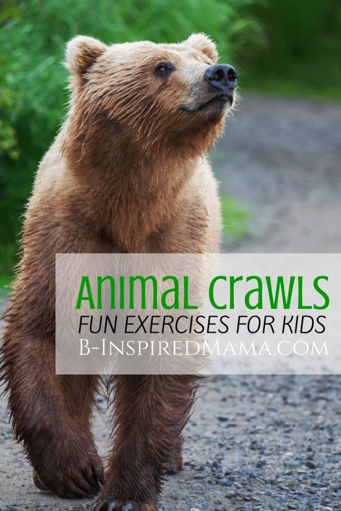 Animal Crawls Fun Exercises for Kids