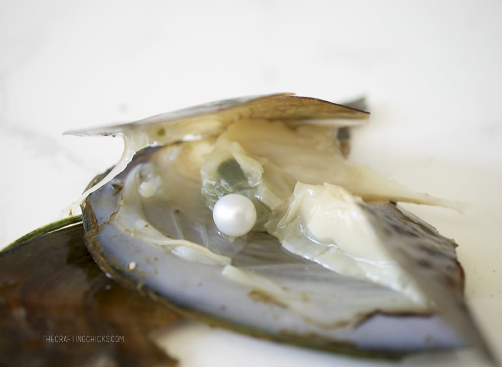 Oyster with pearl inside