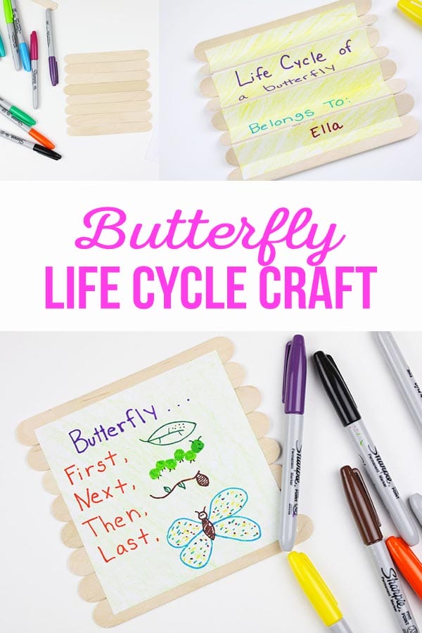 Butterfly Life Cycle Craft