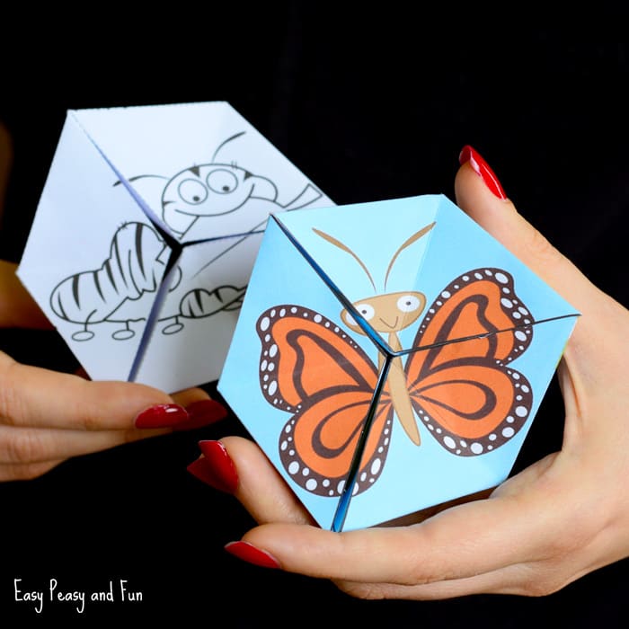 Printable Butterfly Life Cycle Paper Toy