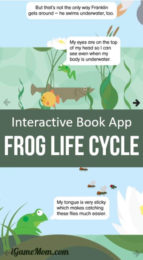 Life Cycle Activities | Simple kids activities that teach about the life cycle. Butterfly life cycle, frog life cycle, and rock life cycle #lifecycle #kidsactivity #activities #butterfly #frog #rock