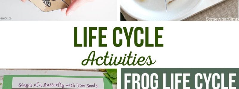 Life Cycle Activities | Simple kids activities that teach about the life cycle. Butterfly life cycle, frog life cycle, and rock life cycle #lifecycle #kidsactivity #activities #butterfly #frog #rock #turtle