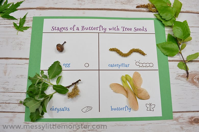 Life Cycle Activities | Simple kids activities that teach about the life cycle. Butterfly life cycle, frog life cycle, and rock life cycle #lifecycle #kidsactivity #activities #butterfly #frog #rock