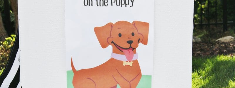 Pin the Tag on the Puppy