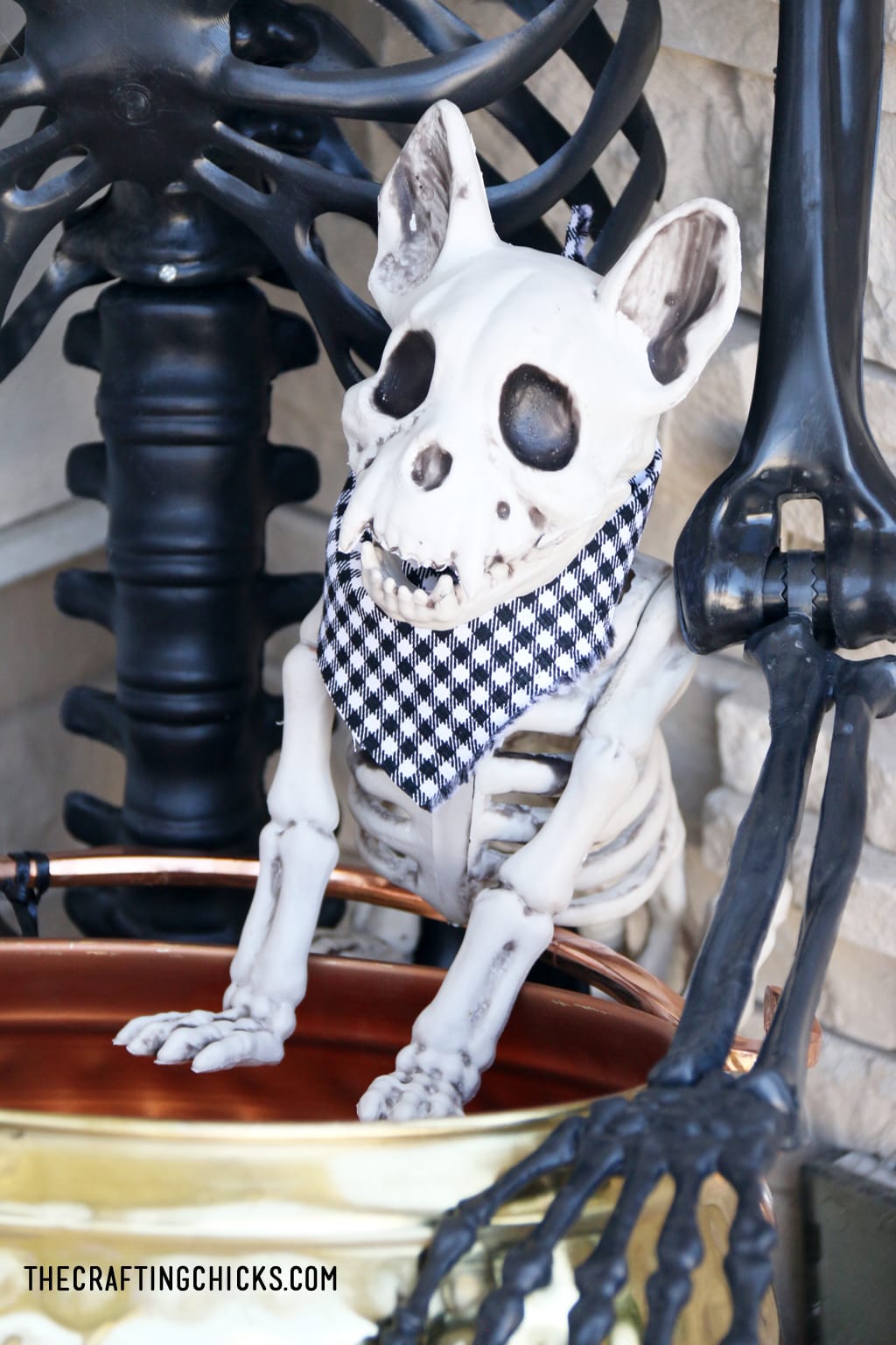 Skeleton dog on Cute and spooky halloween porch 