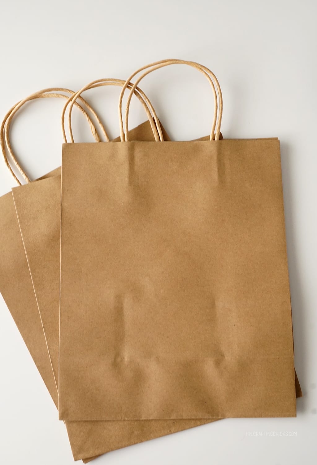 Brown Gift Bags