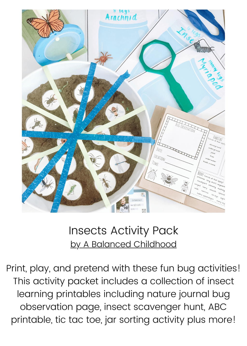 Insects Activity Pack Info